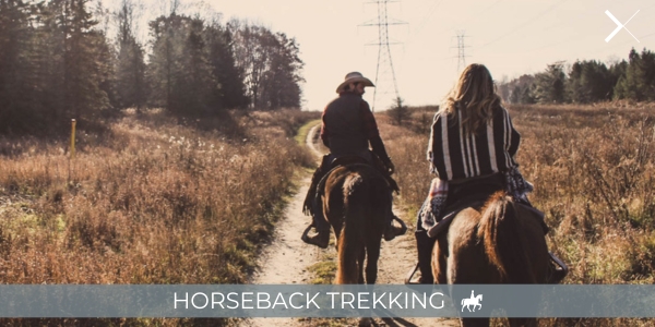 Horseback trekking with Kaptrek